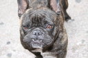 gal/cro 08/_thb_small-IMG_5067.JPG